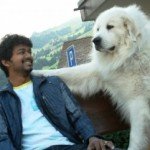 villu1 150x150 Villu Story Line & Picture gallery   Latest News Of Ilaya Thalapathy vijay