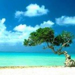 nat02 150x150 Gods Gift to us  Nature