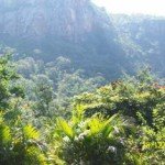 nature-02