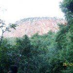 nature-5