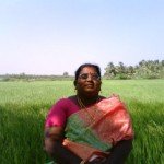 mulakkarai 10 jamuna cithi 150x150 My Trip To Native Place